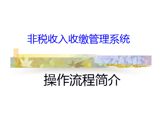 非税收入收缴管理系统操作流程简介