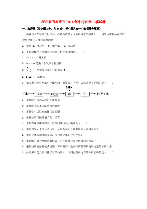 河北省石家庄市2016年中考化学二模试卷(含解析)