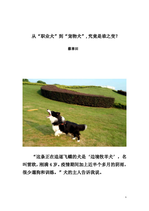 从“职业犬”到“宠物犬”,究竟是谁之变？