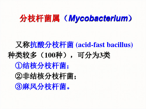 结核分枝杆菌PPT课件