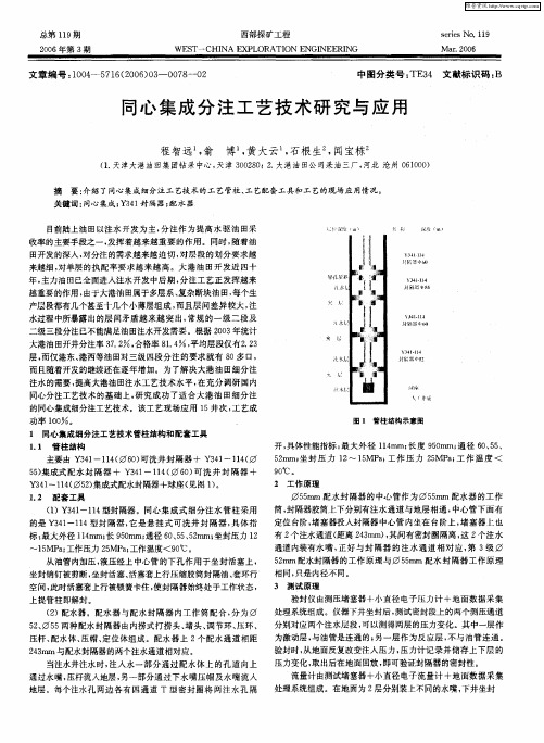 同心集成分注工艺技术研究与应用