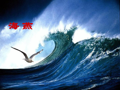 九年级语文《海燕》课件