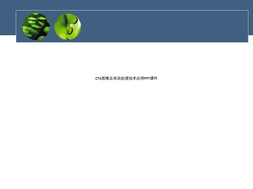 CTA图像及其后处理技术应用PPT课件