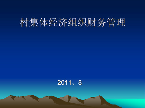 村集体经济组织财务管理培训课件.pptx