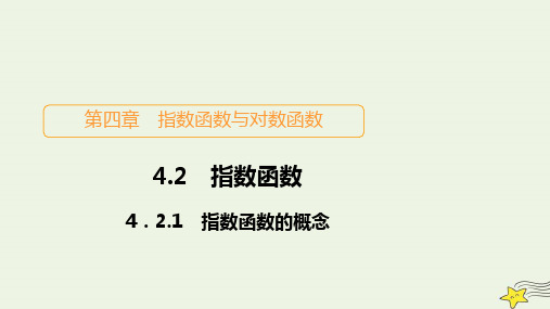 高中数学第四章指数函数与对数函数4.2指数函数4.2.1指数函数的概念课件新人教A版必修第一册