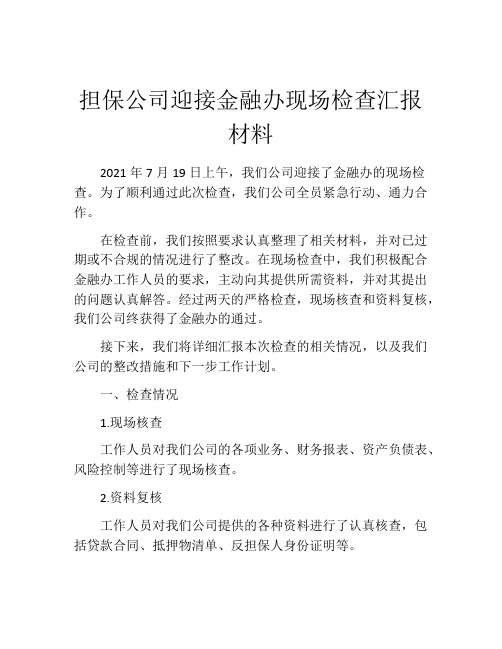 担保公司迎接金融办现场检查汇报材料