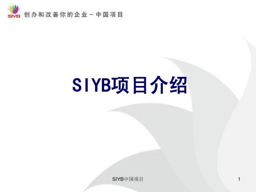 SIYB项目介绍