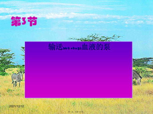 七年级生物下册 第三节 输送血液的泵心脏课件