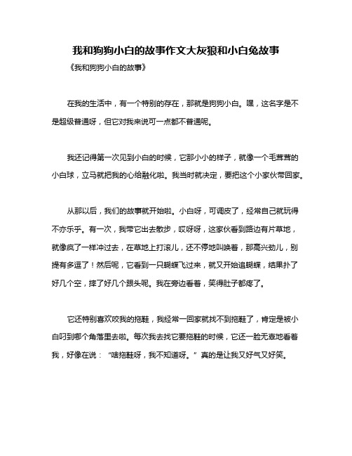 我和狗狗小白的故事作文大灰狼和小白兔故事