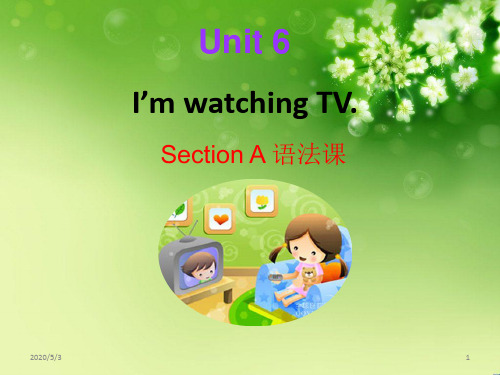 unit6 I'm watching TV Section A语法  公开课一等奖课件