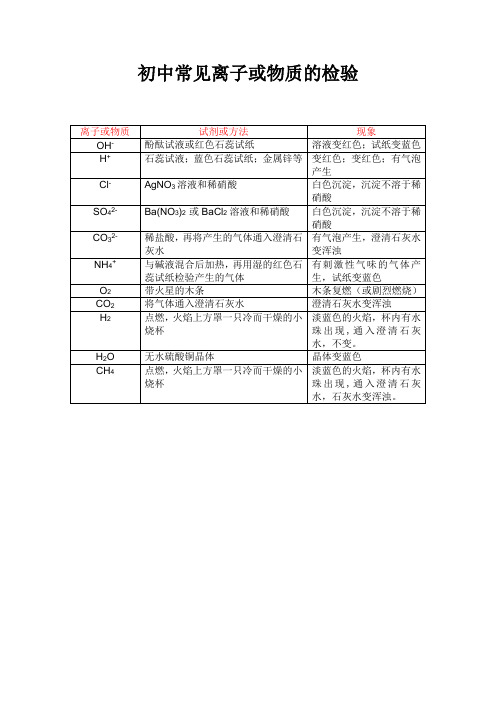 初中常见离子的检验