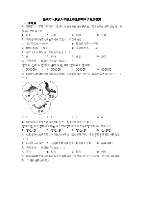 徐州市人教版八年级上册生物期末试卷及答案