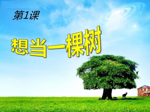 想当一棵树-PPT精品教学课件
