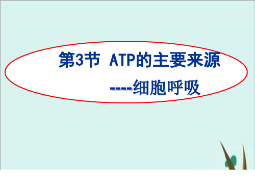 人教版高中生物必修一ATP的主要来源——细胞呼吸