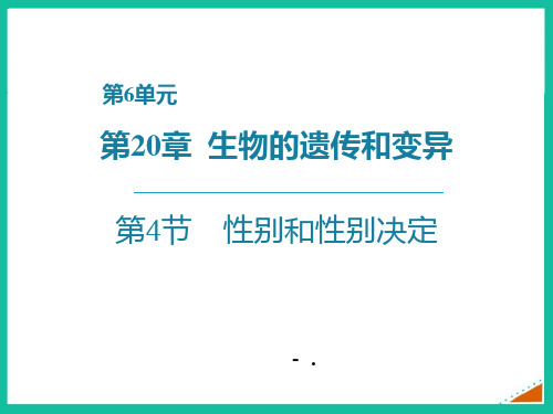 《性别和性别决定》PPT精品课件