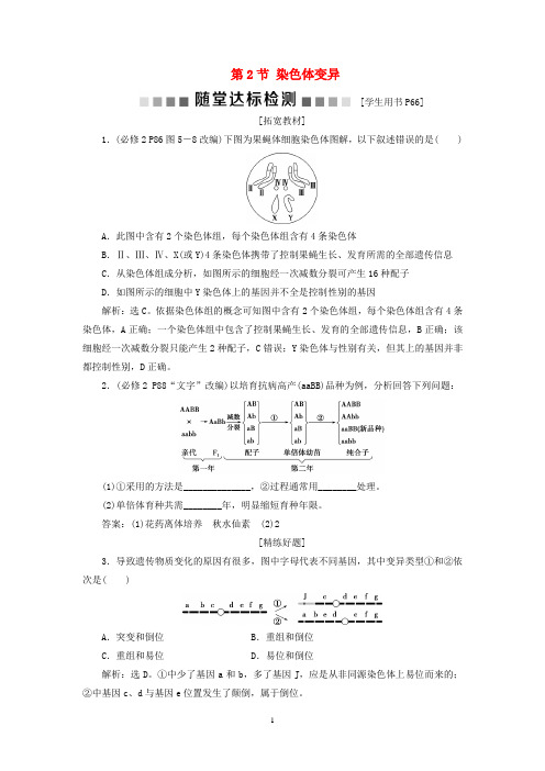 高中生物 第5章 基因突变及其他变异 第2节 染色体变异检测 新人教版必修2
