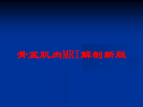 骨盆肌肉MRI解剖新版培训课件