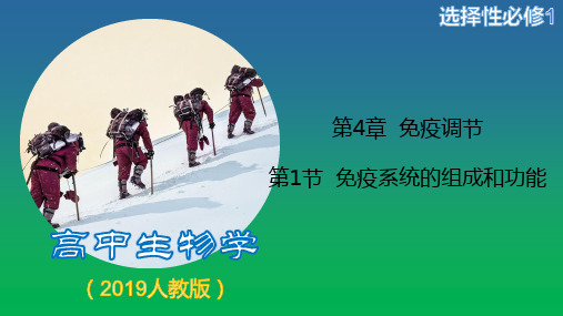 免疫系统的组成和功能课件-高二上学期生物人教版选择性必修1