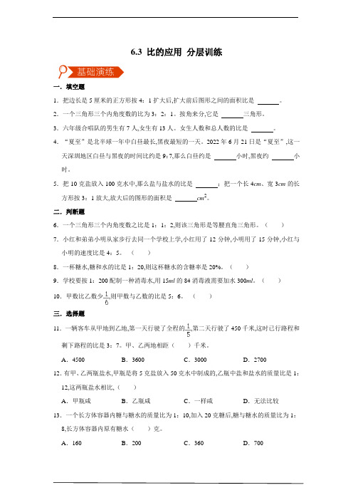 北师大版六年级数学上册 比的应用 分层训练(含答案)