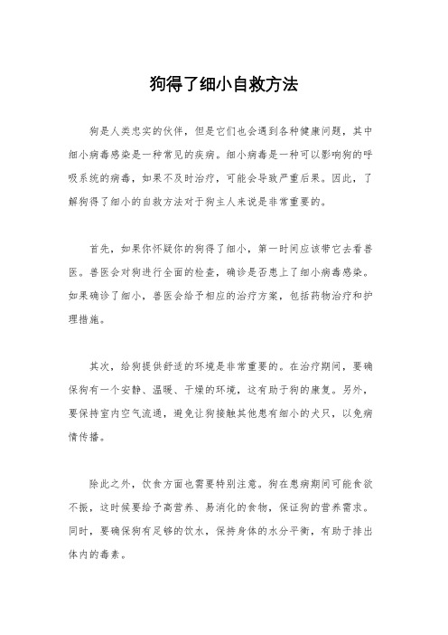 狗得了细小自救方法