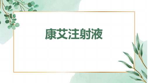 康艾注射液2024课件