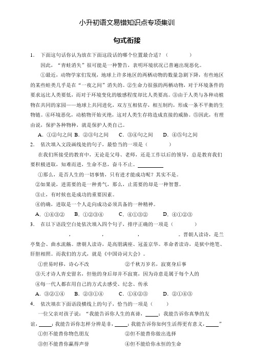 小升初语文易错知识点专项集训B卷-句式衔接(试题)语文六年级下册