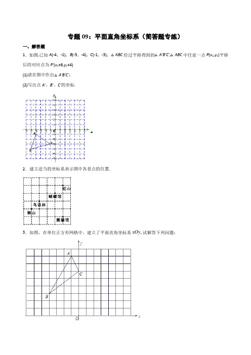 专题09：平面直角坐标系(简答题专练)(原卷版)