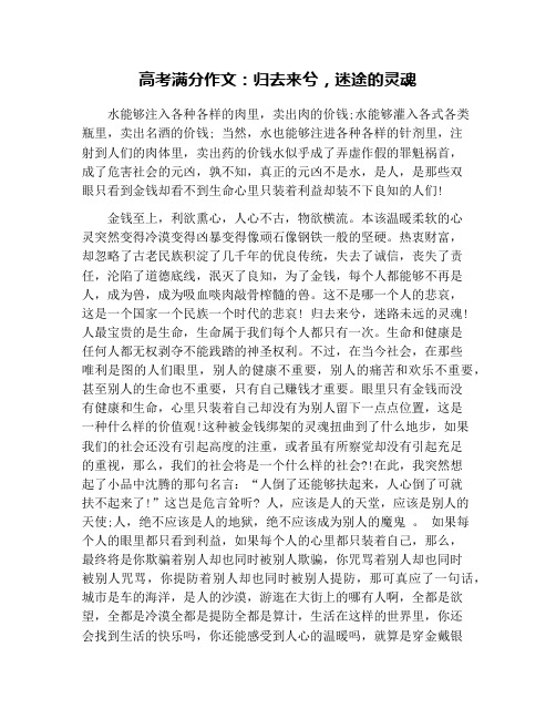 高考满分作文：归去来兮,迷途的灵魂