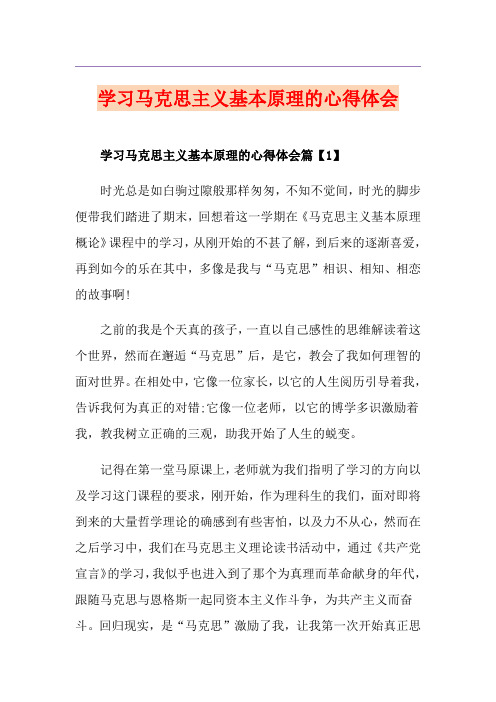 学习马克思主义基本原理的心得体会