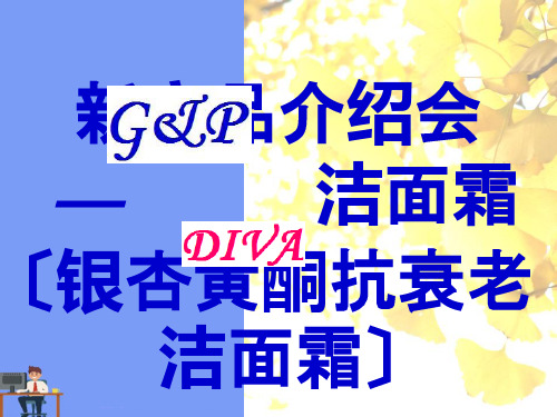 某公司新产品介绍会.完美版PPT