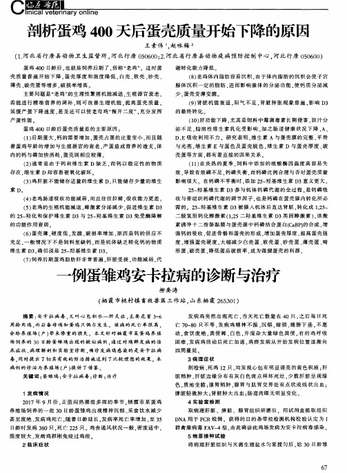 一例蛋雏鸡安卡拉病的诊断与治疗