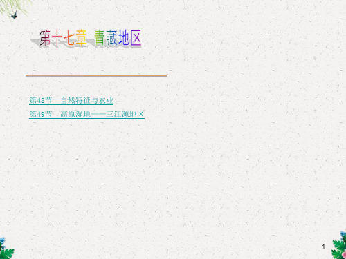 中考地理总复习:第17章《青藏地区》ppt课件