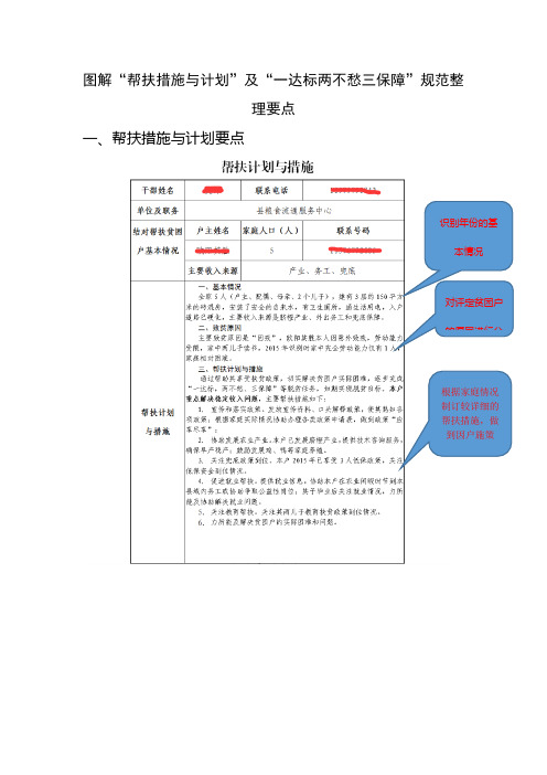 图解“帮扶措施与计划”及“一达标两不愁三保障”规范整理要点