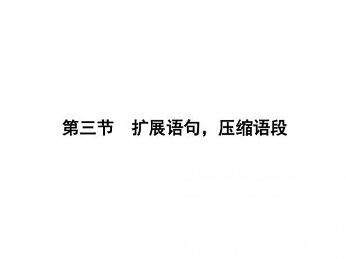 2017届高三语文一轮总复习第一单元 语言文字运用第一单元(第三节)