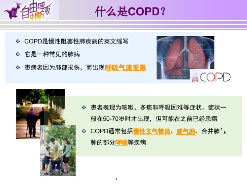 COPD宣传挂图