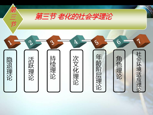 第三节 老化的社会学理论