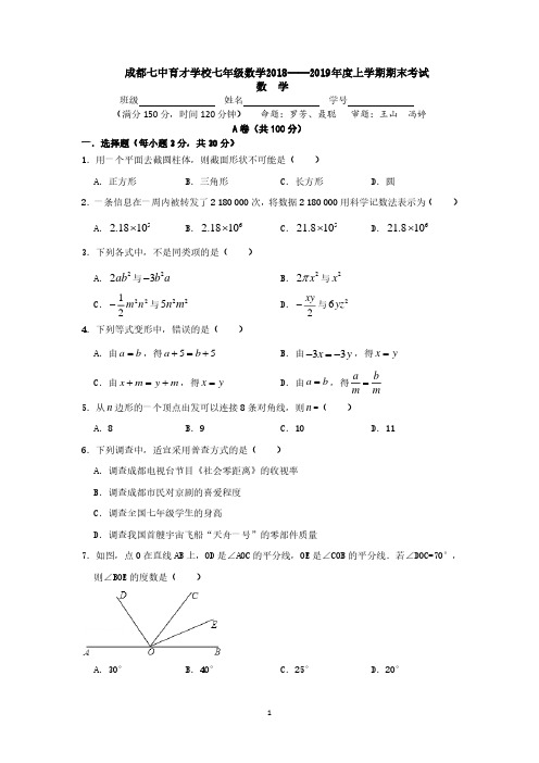 四川省成都七中育才学校七年级数学2018—2019年度上学期期末考试试卷(PDF版,无答案)