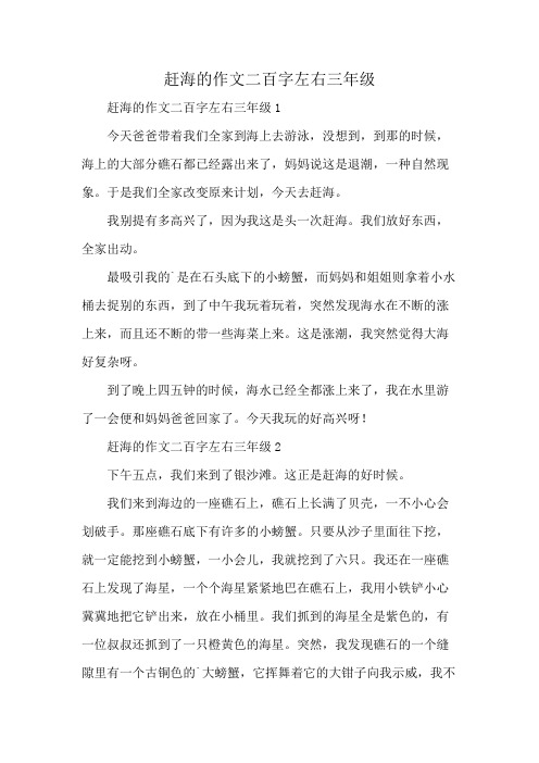 赶海的作文二百字左右三年级