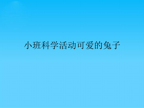 小班科学活动可爱的兔子课件