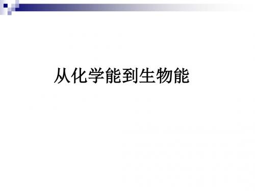 中图版必修一 从化学能到生物能 课件(34张)