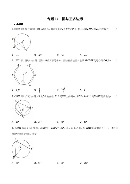 中考一轮复习 数学专题14 圆与正多边形(学生版)