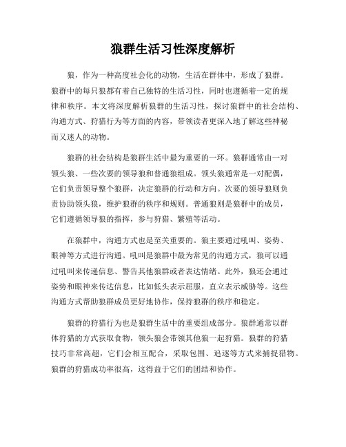 狼群生活习性深度解析