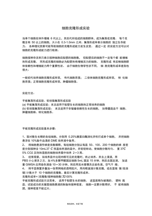 细胞克隆形成实验