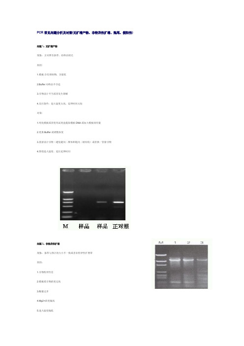 PCR常见问题分析及对策