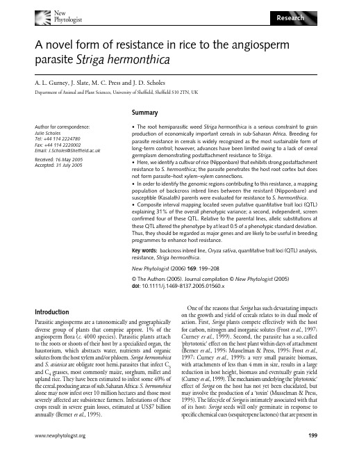 S. hermonthica infection assay.