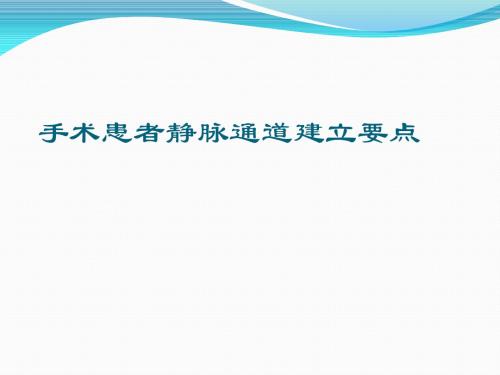 手术患者静脉通道建立PPT课件