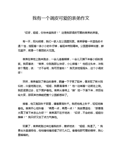 我有一个调皮可爱的表弟作文