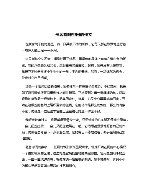 形容蜘蛛织网的作文