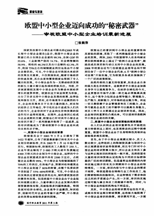 欧盟中小型企业迈向成功的“秘密武器”——审视欧盟中小型企业培训最新进展