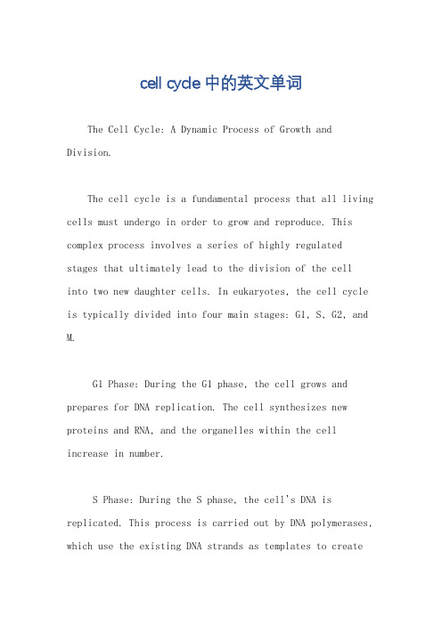 cell cycle中的英文单词